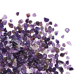 Natürlichen Amethyst Chip-Perlen&nbsp;G-CJ0001-23