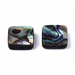 Perles de coquille d'ormeau naturel/coquille de paua&nbsp;LS-SSHEL-T014-12A