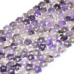 Natürlichen Amethyst Perlen Stränge&nbsp;G-P573-C01-01