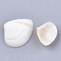Clam-Shell-Perlen&nbsp;SSHEL-S258-49