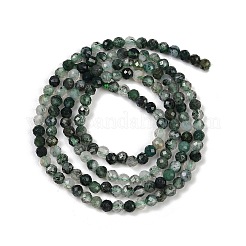 Natur Moos Achat Perlen Stränge&nbsp;G-A129-3mm-01
