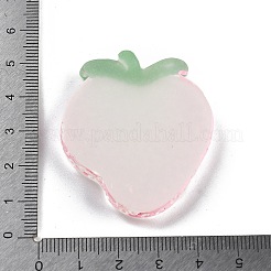Décoration lumineuse de présentation de tranches de fruits en résine&nbsp;DJEW-B014-04