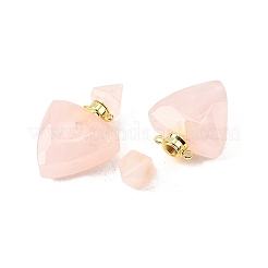 Pendentifs de bouteille de parfum en pierre mélangée naturelle&nbsp;G-L623-10G