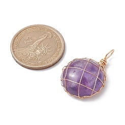 Natürliche Amethyst-Kupferdraht umwickelte Anhänger&nbsp;PALLOY-JF02436-02