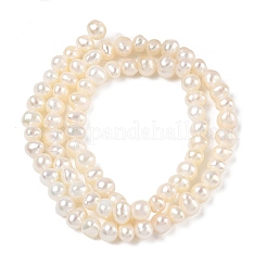 Brins de perles de culture d'eau douce naturelles&nbsp;PA-CBAC463-15