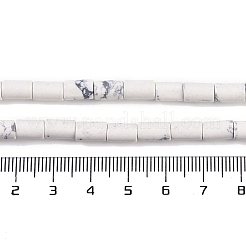 Natürliche Howlith Perlen Stränge&nbsp;G-C128-A37-01