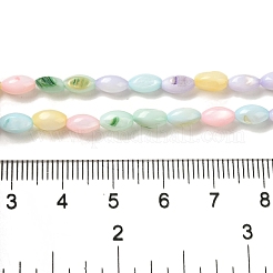 Fili di perline di conchiglia d'acqua dolce naturali tinti di colore arcobaleno&nbsp;SHEL-G018-02H