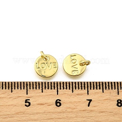 Breloques en laiton&nbsp;KK-I275-14G-01