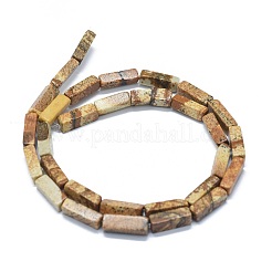 Natürliches Bild Jaspis Perlen Stränge&nbsp;G-F631-E07
