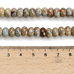 Natürliche Aqua Terra Jaspis Perlen Stränge&nbsp;G-Z110-D40-5x8mm
