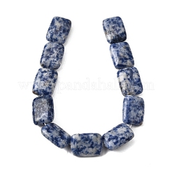 Natürliche blaue Fleck Jaspis Perlen Stränge&nbsp;G-S386-A05