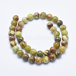 Serpentine naturelle perles de jade brins&nbsp;G-P353-06-10mm