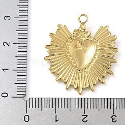 Pendentifs en acier inoxydable 304 avec placage ionique (IP)&nbsp;STAS-B075-02G