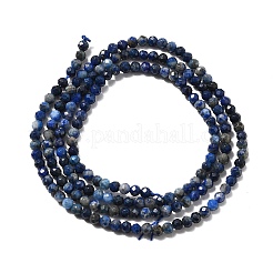 Natürlicher Lapislazuli Perlenstränge&nbsp;G-F509-14-2mm