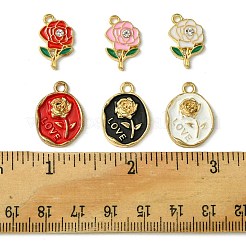 12 Stück 6 Arten Legierung Emaille Anhänger&nbsp;FIND-FS0002-05