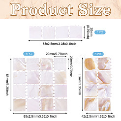 3 Stück 3 Stile natürliche Muschel Nail Art Display Board&nbsp;ODIS-TA0001-04