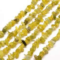 Natürliche Oliven-Jade-Chip-Perlenstränge&nbsp;X-G-M205-30