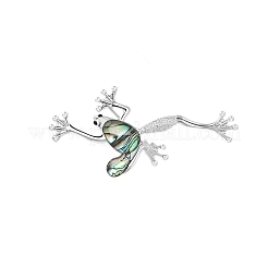 Retro kreative Abalone Muschel Frosch Brosche&nbsp;PW-WG0F18B-01