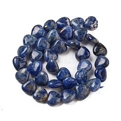 Natur Sodalith Perlen Stränge&nbsp;G-B022-36C