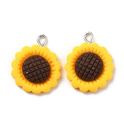 Pendentifs en résine&nbsp;RESI-C002-27