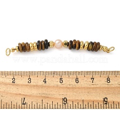 Natürliche Tigerauge & Kunststoff-Imitat Perlen Scheibe Perlen Verbinder Charms/Verbinder&nbsp;LS-STAS-L277-11G-01