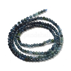 Natürliche blaue Turmalinperlenstränge&nbsp;G-B088-C12-02
