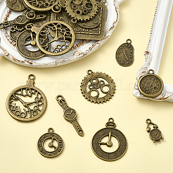 1 Beutel Anhänger aus Legierung im tibetischen Stil&nbsp;FIND-SC0018-06AB