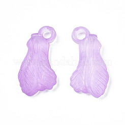 Transparenten Acryl-Anhänger&nbsp;TACR-S134-031