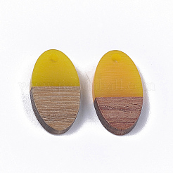 Pendentifs en résine & en bois&nbsp;X-RESI-S358-71