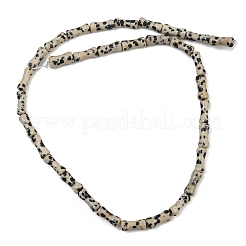 Dalmata naturale perline di diaspro fili&nbsp;GG-CBAEB22-A03-01