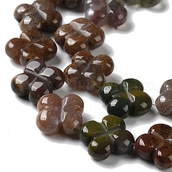 Cuentas de ágata natural india hebras&nbsp;G-M418-D09-01
