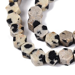 Chapelets de perles en jaspe dalmatien naturelle&nbsp;GG-N002-02A-02