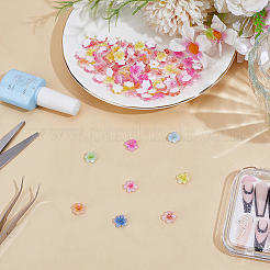 100 cabochon in resina di sakura&nbsp;MRMJ-ME0001-07