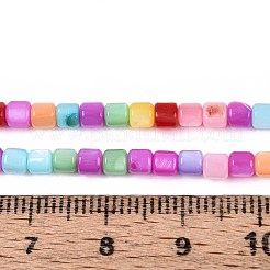 Chapelets de perles de coquille d'eau douce naturelle teinte&nbsp;SHEL-T020-56A