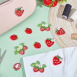 12 Stück 3 Stile Erdbeere computergesteuerte Stickerei Stoff zum Aufbügeln/Aufnähen Patches&nbsp;PATC-PH0001-36
