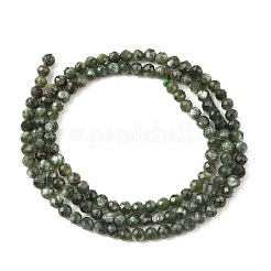 Perles naturelles SERAPHINITE brins&nbsp;G-K376-A02-3mm