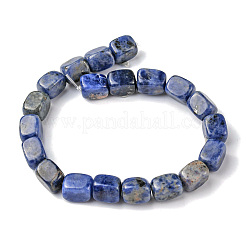Natur Sodalith Perlen Stränge&nbsp;G-F743-02I