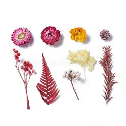 Getrocknete Blumen&nbsp;DIY-D052-18