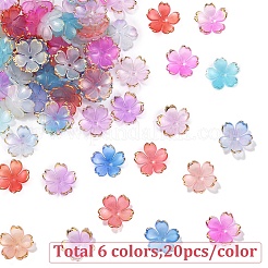 120 Stück 6 Farben Acrylperlenkappen&nbsp;OACR-YW0002-32