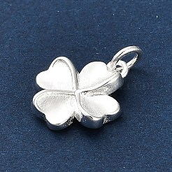 925 Sterling Silber Charme&nbsp;FIND-Z069-04S-C
