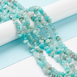 Natürlichen exotischen amazonite Chips Perlen Stränge&nbsp;F070-1