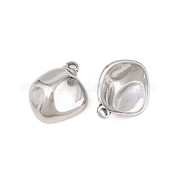 Breloques en acier inoxydable 304&nbsp;STAS-L317-47P