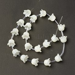 Natürliche Trochid Shell / Trochus Shell Perlenkappen&nbsp;BSHE-B005-03