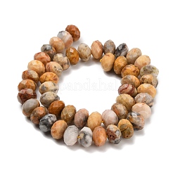 Natur verrückt Achat Perlen Stränge&nbsp;G-C259-A04-6x10mm