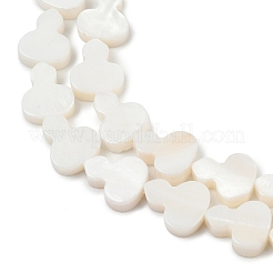 Hebras naturales de cuentas de concha de agua dulce&nbsp;SHEL-K010-02B