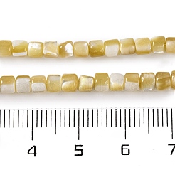 Fili di perline di conchiglia trochus naturale&nbsp;BSHE-S304-09A