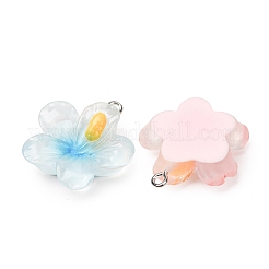 Pendentifs en résine transparente&nbsp;RE-CBA5F64-01
