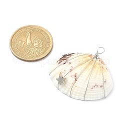 Natürliche Muschelschalen-Anhänger mit Kupferdraht umwickelt&nbsp;PALLOY-JF02056-02