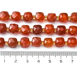 Natürlichen Karneol-Perlen Stränge&nbsp;G-Q010-A17-01
