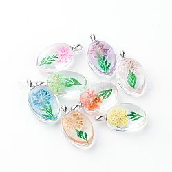 Glass Pendants, with Dried Flower Inside, Oval, Platinum, Mixed Color, 31x18x10~11mm, Hole: 5x2mm